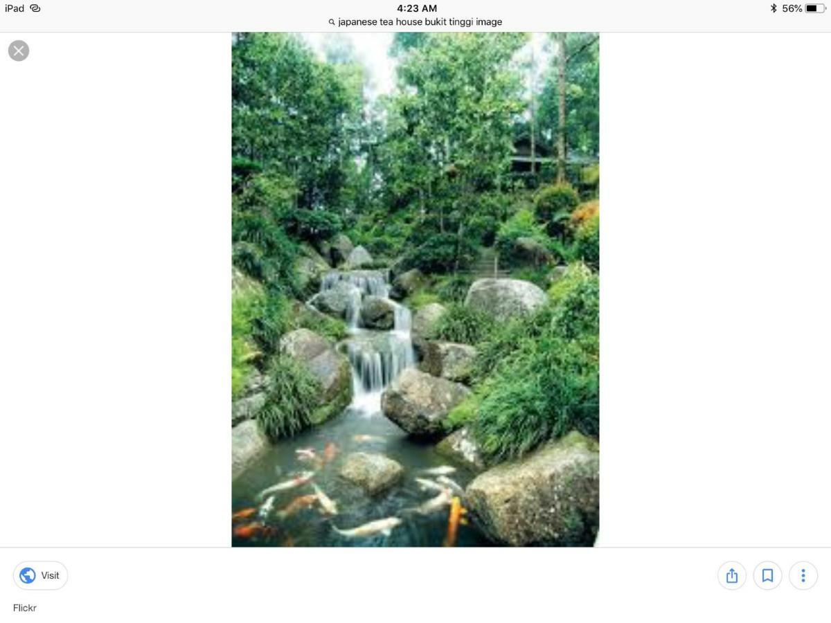 Bukit Tinggi Berjaya Hill Homestay 외부 사진