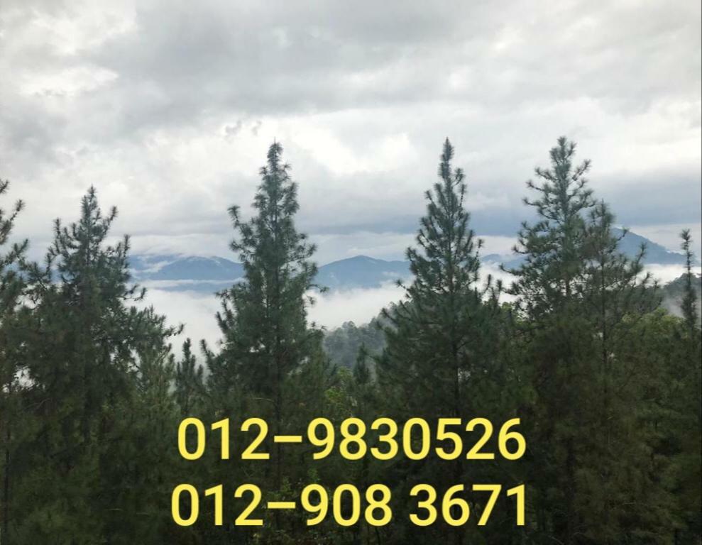 Bukit Tinggi Berjaya Hill Homestay 외부 사진